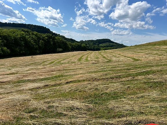 4th image of 0 Highway 231 S Lot 1