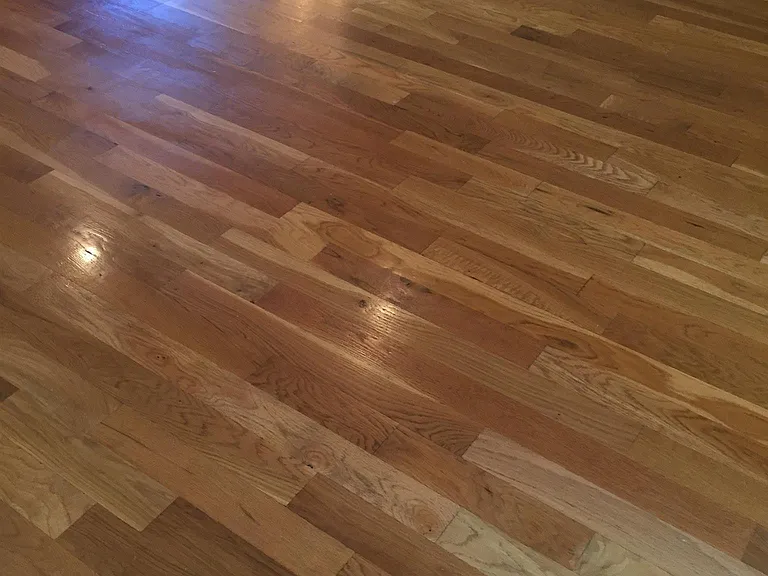 415 Palamino Ln — Photo 5