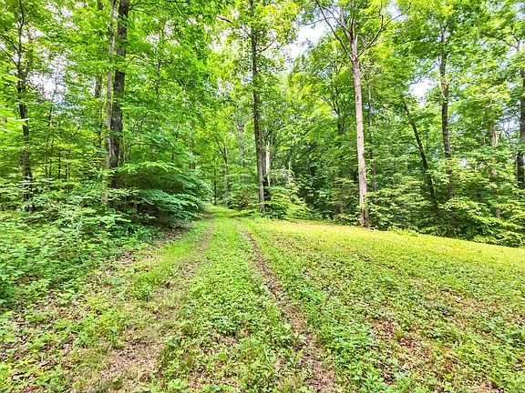 21st image of this home