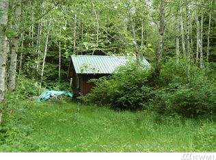 9999 Hwy 101 S LOT 1, Forks, WA 98331