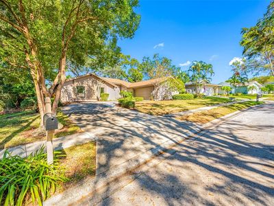 695 Sandy Hook Rd, Palm Harbor, FL, 34683