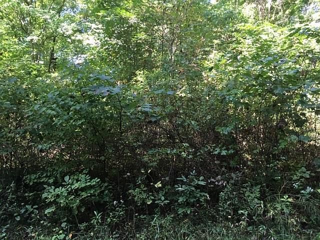 2nd image of 3751 Cherokee Pass