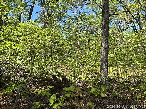 3rd image of 4.92 Ivy Bend Rd