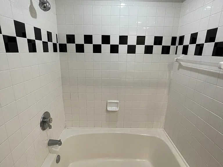 2411 W Horatio St #515 — Photo 10