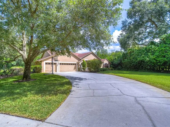 920 Shaded Water Way, Lutz, FL 33549