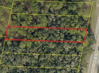 0 Treiman Blvd LOT C-43, Webster, FL 33597