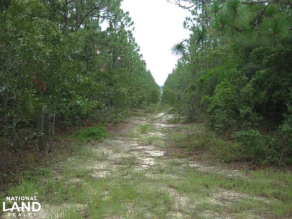 View looking North along fiber optic cable easement line.