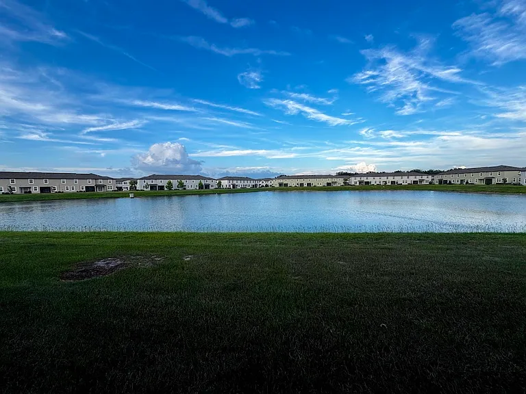 Backyard_06182026