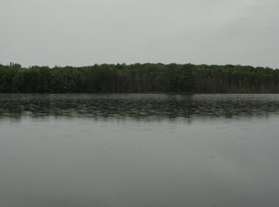 388 Robinson Lake Rd, Kenton, MI 49967