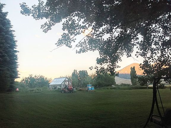 Nice view of the Backyard