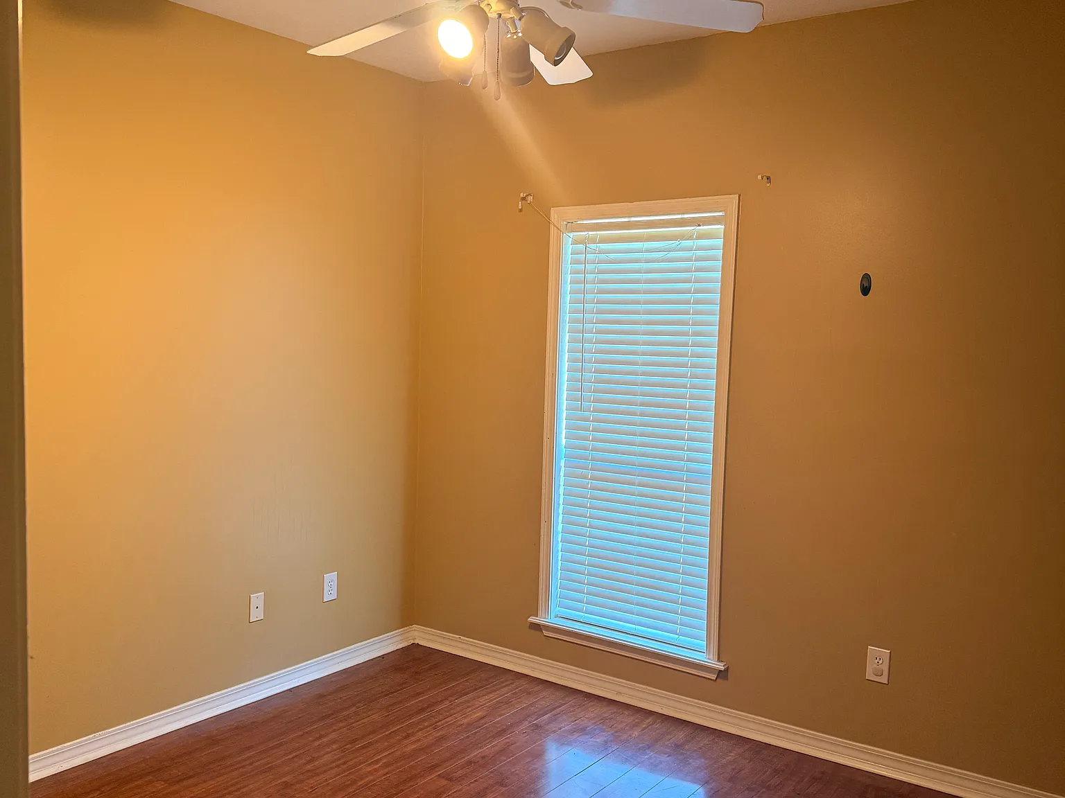303 Arlington Cir — Photo 4