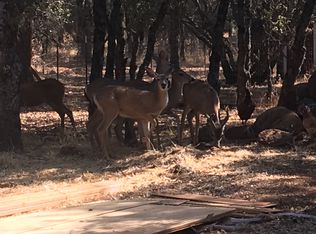 1100 Old Neumann Rd, Rescue, CA 95672