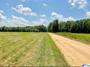 1408 Kelley Rd, Olanta, SC 29114