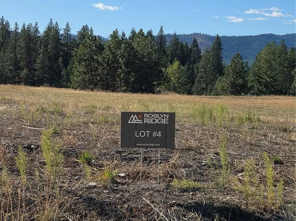 4 Rockrose Drive, Ronald, WA 98940