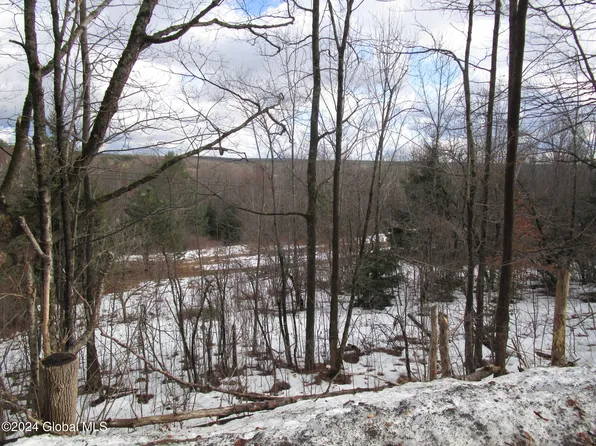 164 Cross Hill Road #Rd, Warnerville, NY 12149