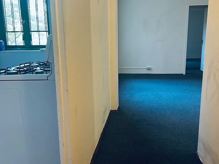 1605 Metropolitan Ave #4 — Photo 6