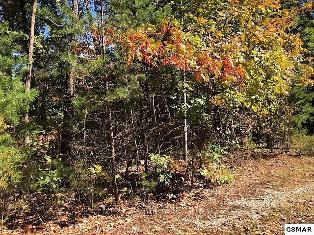 1st image of 37 Scenic Woods Way Lot 37