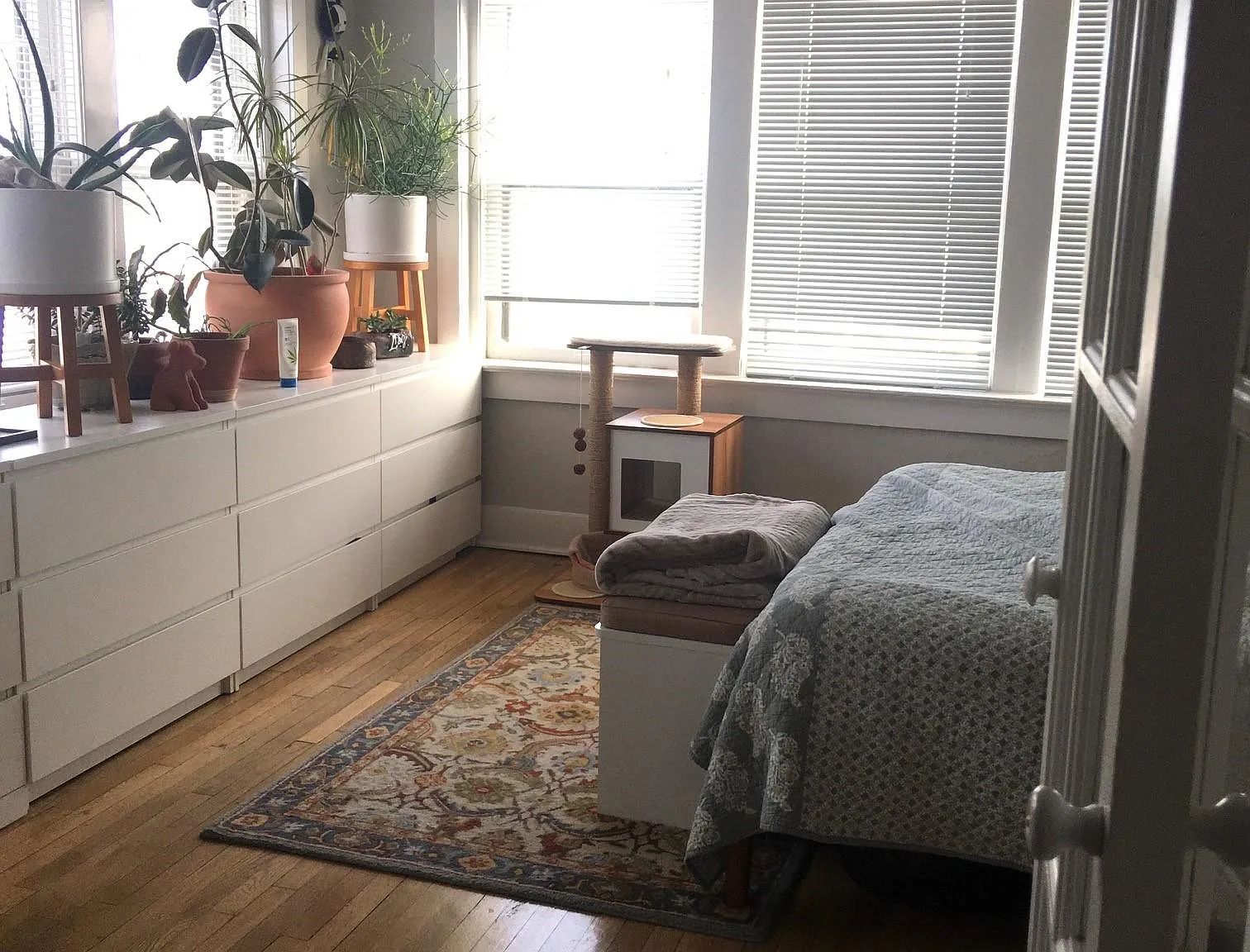 1 bed, 550 sqft, $985 — Photo 3