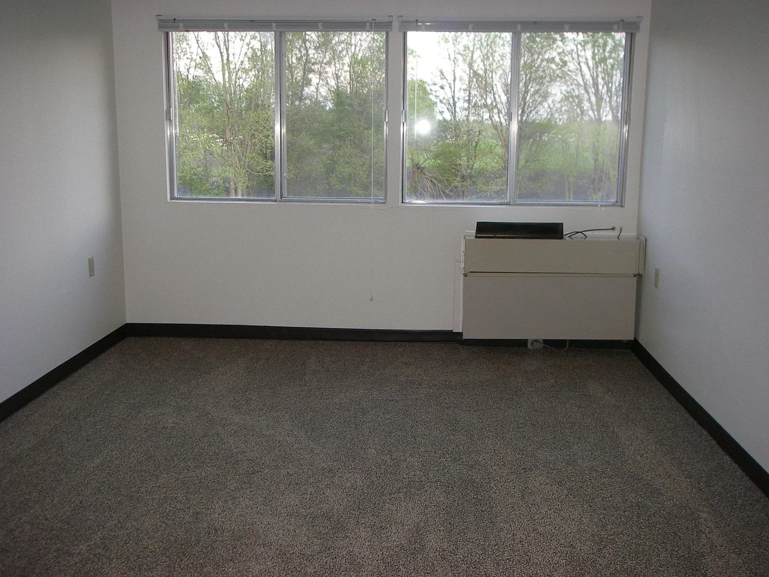 214 S 21st Street — Photo 3