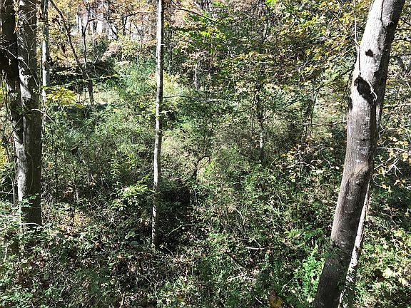 3rd image of Lots 17 Town Mountain Dr