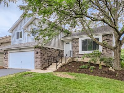 1595 Lois Ann Ln, Naperville, IL, 60563