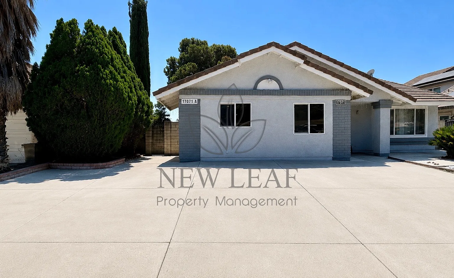 1 bed, 650 sqft, $1,800 — Photo 1