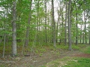 1st image of 0 Mountain View Dr Lot 29