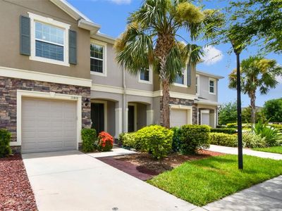 10409 Orchid Mist Ct, Riverview, FL, 33578