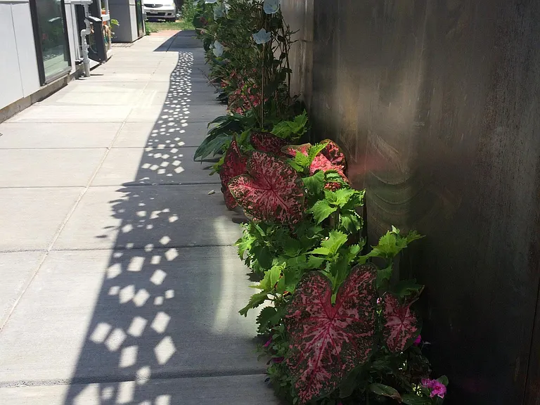 3130 N Downing St #100 — Photo 13