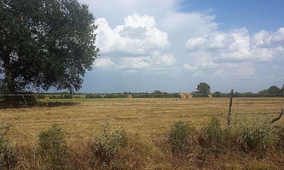 1st image of 994 County Road 3513