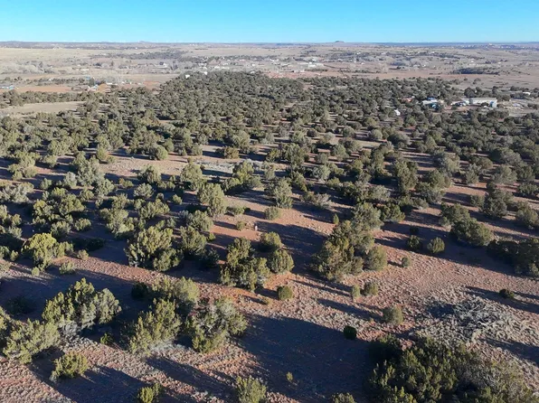 S Arena Estates Dr, Taylor, AZ 85939