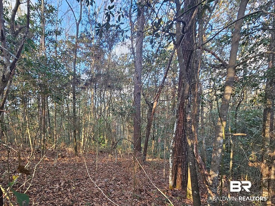 2nd image of 0 County Road 138