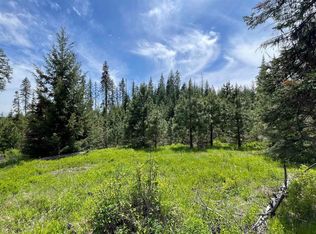 Elderberry Ln PARCEL 11, Orofino, ID 83544