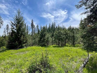 Elderberry Ln PARCEL 11, Orofino, ID, 83544