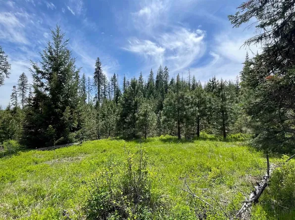 Elderberry Ln Parcel 11, Orofino, ID 83544