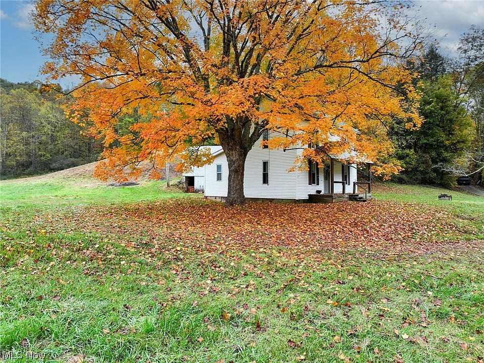 39353 Walnut Camp Rd, Sardis, OH 43946 MLS 4500556 Zillow