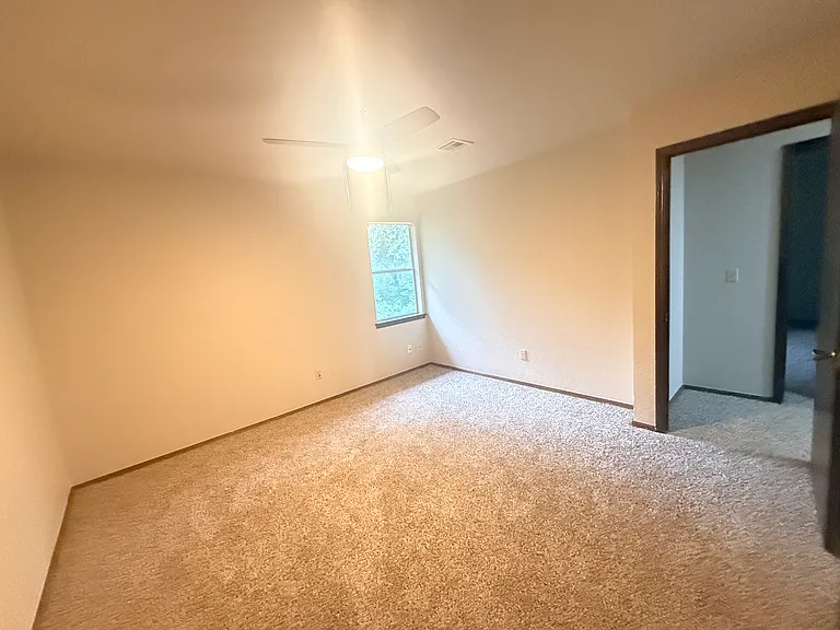 3816 Summer Cloud Dr — Photo 19