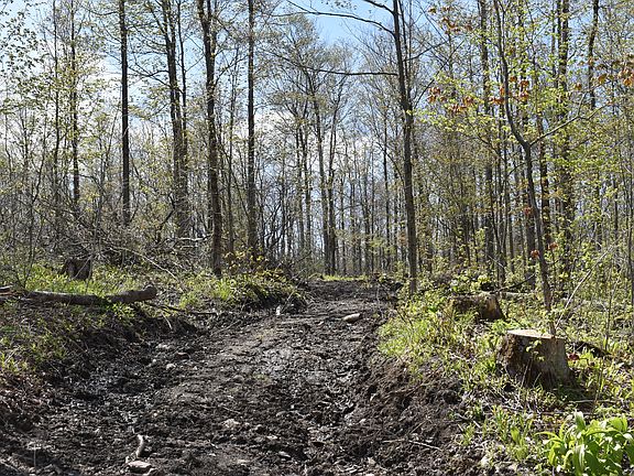 5th image of 0 Farrington Hollow Rd