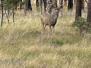 LOT 542 Forbes Rd LOT 542, Fort Garland, CO 81133