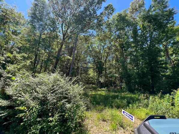 County Road 3153 S, Mount Enterprise, TX 75681