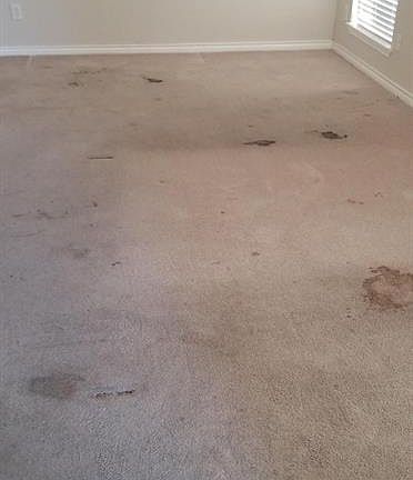 2nd image of 3512 Louise Ln