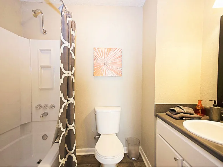 555 Eagles Crest Village Ln — Photo 10