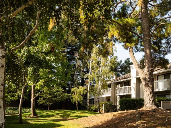 125 Ortega Ave, Mountain View, CA 94040