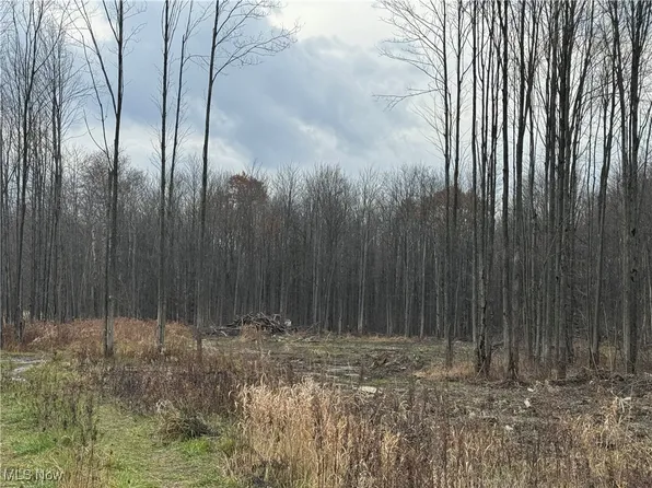 Root Rd, Conneaut, OH 44030