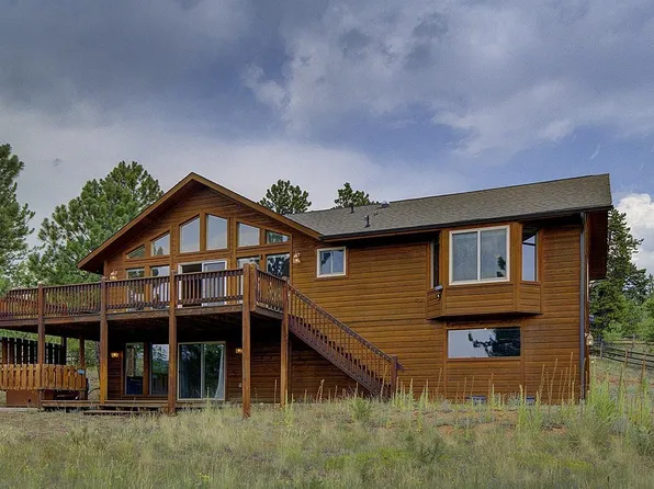 111 Mount Evans Drive, Bailey, CO 80421
