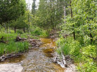 5449 E Swede Rd, Cedarville, MI 49719