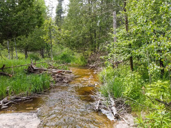 5449 E Swede Rd, Cedarville, MI 49719