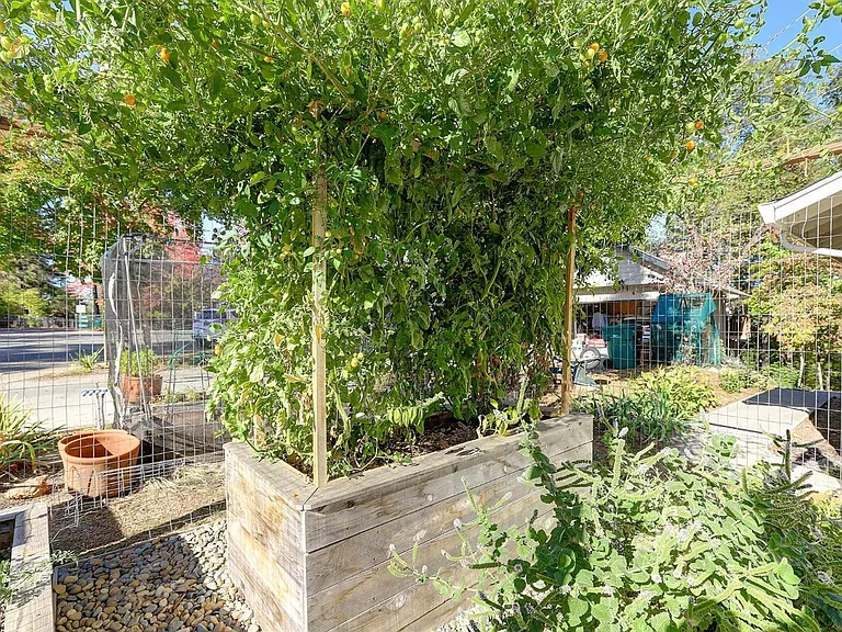 Small Fenced Garden Area