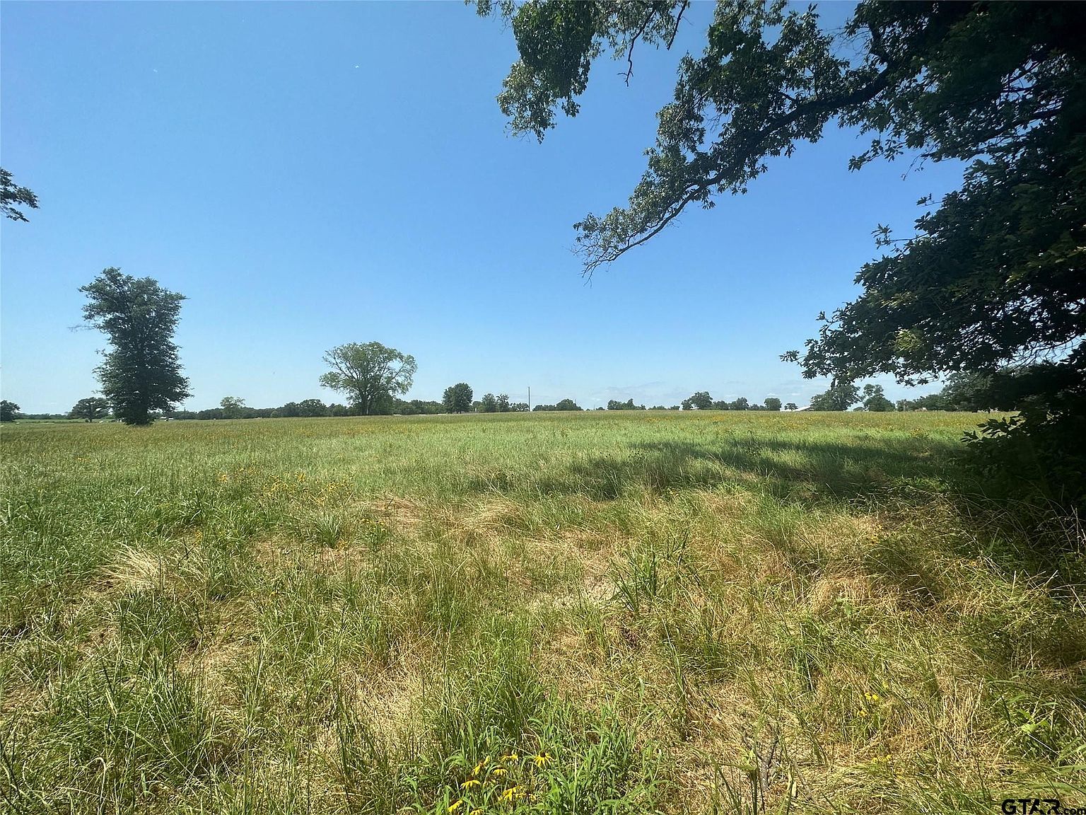 1 County Road 1166, Brashear, TX 75420 MLS 23008440 Zillow