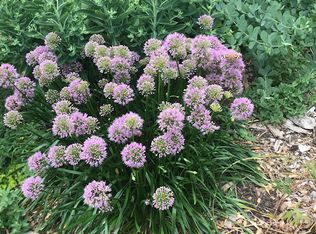 909 Hale St, Durham, NC 27705